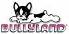 Bullyland (Булилэнд)